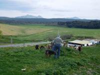 Sierra de Grazalema (6)