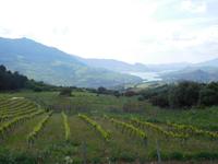 Sierra de Grazalema (7)