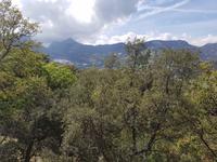 Sierra de Grazalema (14)