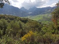 Sierra de Grazalema (16)