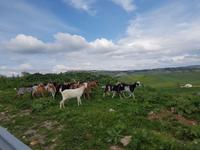 Sierra de Grazalema (18)