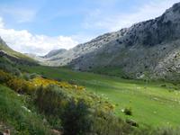 Sierra de Grazalema (34)