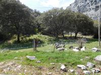 Sierra de Grazalema (41)