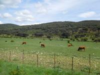 Sierra de Grazalema (45)