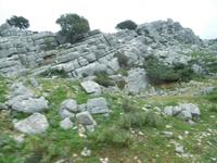 Sierra de las Nieves (3)