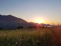 Cortijo Salinas (17)