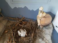 Vía Verde de la Sierra (10)