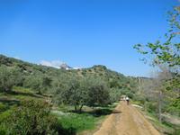 Vía Verde de la Sierra (12)