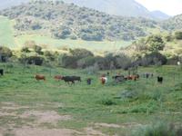 Vía Verde de la Sierra (15)