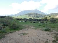 Vía Verde de la Sierra (16)