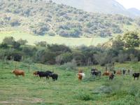 Vía Verde de la Sierra (17)