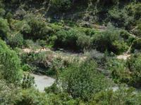 Vía Verde de la Sierra (26)