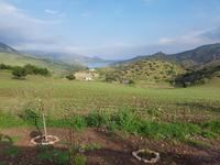 Vía Verde de la Sierra (28)