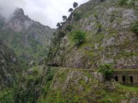 Wanderreise Nord-Spanien – Jakobsweg und Atlantik: 9 Tage Wanderreise in Nordspanien mit San Sebastian – Picos de Europa – Jakobsweg – Santiago de Compostela – Atlantikküste – Porto