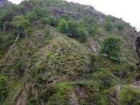 Wanderreise Nord-Spanien – Jakobsweg und Atlantik: 9 Tage Wanderreise in Nordspanien mit San Sebastian – Picos de Europa – Jakobsweg – Santiago de Compostela – Atlantikküste – Porto