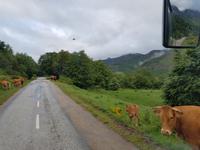 Wanderreise Nord-Spanien – Jakobsweg und Atlantik: 9 Tage Wanderreise in Nordspanien mit San Sebastian – Picos de Europa – Jakobsweg – Santiago de Compostela – Atlantikküste – Porto