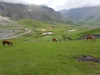 Wanderreise Nord-Spanien – Jakobsweg und Atlantik: 9 Tage Wanderreise in Nordspanien mit San Sebastian – Picos de Europa – Jakobsweg – Santiago de Compostela – Atlantikküste – Porto