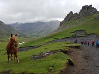 Wanderreise Nord-Spanien – Jakobsweg und Atlantik: 9 Tage Wanderreise in Nordspanien mit San Sebastian – Picos de Europa – Jakobsweg – Santiago de Compostela – Atlantikküste – Porto