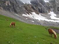 Wanderreise Nord-Spanien – Jakobsweg und Atlantik: 9 Tage Wanderreise in Nordspanien mit San Sebastian – Picos de Europa – Jakobsweg – Santiago de Compostela – Atlantikküste – Porto