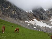 Wanderreise Nord-Spanien – Jakobsweg und Atlantik: 9 Tage Wanderreise in Nordspanien mit San Sebastian – Picos de Europa – Jakobsweg – Santiago de Compostela – Atlantikküste – Porto