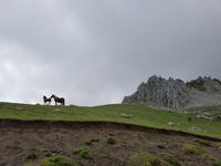 Wanderreise Nord-Spanien – Jakobsweg und Atlantik: 9 Tage Wanderreise in Nordspanien mit San Sebastian – Picos de Europa – Jakobsweg – Santiago de Compostela – Atlantikküste – Porto