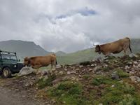 Wanderreise Nord-Spanien – Jakobsweg und Atlantik: 9 Tage Wanderreise in Nordspanien mit San Sebastian – Picos de Europa – Jakobsweg – Santiago de Compostela – Atlantikküste – Porto