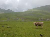 Wanderreise Nord-Spanien – Jakobsweg und Atlantik: 9 Tage Wanderreise in Nordspanien mit San Sebastian – Picos de Europa – Jakobsweg – Santiago de Compostela – Atlantikküste – Porto