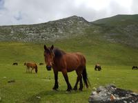Wanderreise Nord-Spanien – Jakobsweg und Atlantik: 9 Tage Wanderreise in Nordspanien mit San Sebastian – Picos de Europa – Jakobsweg – Santiago de Compostela – Atlantikküste – Porto