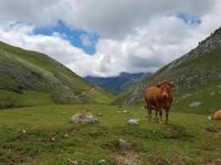 Wanderreise Nord-Spanien – Jakobsweg und Atlantik: 9 Tage Wanderreise in Nordspanien mit San Sebastian – Picos de Europa – Jakobsweg – Santiago de Compostela – Atlantikküste – Porto