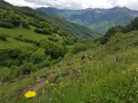 Wanderreise Nord-Spanien – Jakobsweg und Atlantik: 9 Tage Wanderreise in Nordspanien mit San Sebastian – Picos de Europa – Jakobsweg – Santiago de Compostela – Atlantikküste – Porto