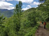 Wanderreise Nord-Spanien – Jakobsweg und Atlantik: 9 Tage Wanderreise in Nordspanien mit San Sebastian – Picos de Europa – Jakobsweg – Santiago de Compostela – Atlantikküste – Porto