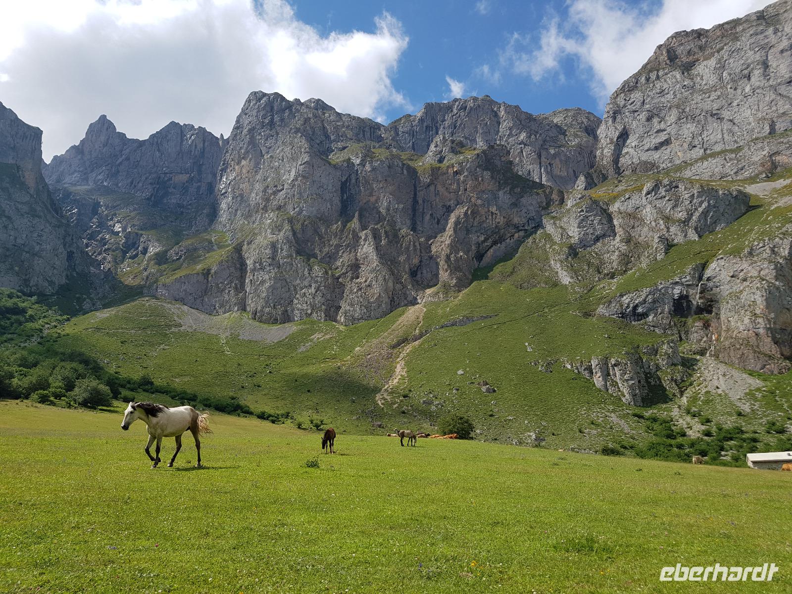 Wanderreise Nord-Spanien – Jakobsweg und Atlantik: 9 Tage Wanderreise in Nordspanien mit San Sebastian – Picos de Europa – Jakobsweg – Santiago de Compostela – Atlantikküste – Porto