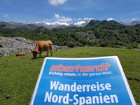 Wanderreise Nord-Spanien – Jakobsweg und Atlantik: 9 Tage Wanderreise in Nordspanien mit San Sebastian – Picos de Europa – Jakobsweg – Santiago de Compostela – Atlantikküste – Porto