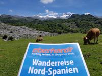 Wanderreise Nord-Spanien – Jakobsweg und Atlantik: 9 Tage Wanderreise in Nordspanien mit San Sebastian – Picos de Europa – Jakobsweg – Santiago de Compostela – Atlantikküste – Porto