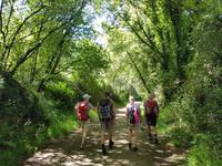 Wanderreise Nord-Spanien – Jakobsweg und Atlantik: 9 Tage Wanderreise in Nordspanien mit San Sebastian – Picos de Europa – Jakobsweg – Santiago de Compostela – Atlantikküste – Porto