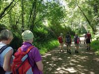 Wanderreise Nord-Spanien – Jakobsweg und Atlantik: 9 Tage Wanderreise in Nordspanien mit San Sebastian – Picos de Europa – Jakobsweg – Santiago de Compostela – Atlantikküste – Porto