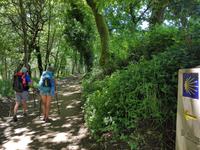 Wanderreise Nord-Spanien – Jakobsweg und Atlantik: 9 Tage Wanderreise in Nordspanien mit San Sebastian – Picos de Europa – Jakobsweg – Santiago de Compostela – Atlantikküste – Porto