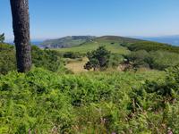 Wanderreise Nord-Spanien – Jakobsweg und Atlantik: 9 Tage Wanderreise in Nordspanien mit San Sebastian – Picos de Europa – Jakobsweg – Santiago de Compostela – Atlantikküste – Porto