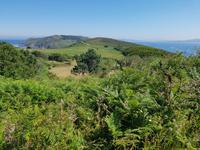 Wanderreise Nord-Spanien – Jakobsweg und Atlantik: 9 Tage Wanderreise in Nordspanien mit San Sebastian – Picos de Europa – Jakobsweg – Santiago de Compostela – Atlantikküste – Porto