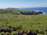 Wanderreise Nord-Spanien – Jakobsweg und Atlantik: 9 Tage Wanderreise in Nordspanien mit San Sebastian – Picos de Europa – Jakobsweg – Santiago de Compostela – Atlantikküste – Porto