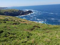 Wanderreise Nord-Spanien – Jakobsweg und Atlantik: 9 Tage Wanderreise in Nordspanien mit San Sebastian – Picos de Europa – Jakobsweg – Santiago de Compostela – Atlantikküste – Porto