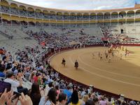 Singlereise: Madrid erleben! 5 Tage Städtereise Madrid mit Ausflügen nach Toledo, El Escorial und Segovia