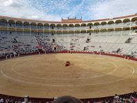 Singlereise: Madrid erleben! 5 Tage Städtereise Madrid mit Ausflügen nach Toledo, El Escorial und Segovia