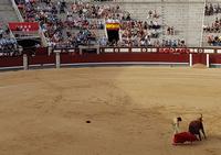 Singlereise: Madrid erleben! 5 Tage Städtereise Madrid mit Ausflügen nach Toledo, El Escorial und Segovia