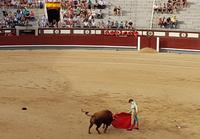 Singlereise: Madrid erleben! 5 Tage Städtereise Madrid mit Ausflügen nach Toledo, El Escorial und Segovia