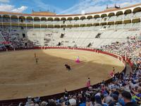 Singlereise: Madrid erleben! 5 Tage Städtereise Madrid mit Ausflügen nach Toledo, El Escorial und Segovia