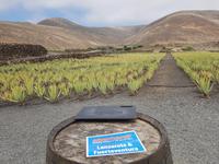 Rundreise – Inselhüpfen Lanzarote, Fuerteventura (95)