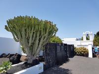 Rundreise – Inselhüpfen Lanzarote, Fuerteventura (114)