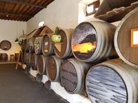 Rundreise – Inselhüpfen Lanzarote, Fuerteventura (136)