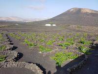 Rundreise – Inselhüpfen Lanzarote, Fuerteventura (141)